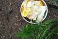 Bowl of fruit and vegetable peels on soil next to green rosemary plant.