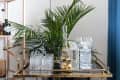 Gold bar cart with crystal decanters, glasses, and a lush green plant in the background.