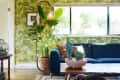 Living room with blue sofa, tropical wallpaper, large plant, and cacti on a wooden coffee table.