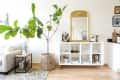 Living room with a large potted plant, white sofa, side table, and a white cabinet with a gold mirror and bar items.