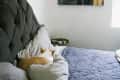 Dog sleeping on a bed with gray pillows and a quilted blanket, next to a tufted headboard and a wall art piece.