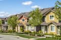 Row of colorful suburban townhouses with trees and shrubs lining the street.