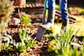 Woman digging a hole in the garden with a spade
