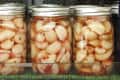 Homemade pickled garlic cloves preserved in mason jars with chopped chilli peppers - in a row.