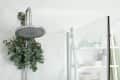 Branches with green eucalyptus leaves in shower