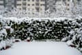 Winter snow covering patio and garden with a building on background.