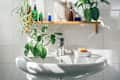 Water flowing from faucet in bathroom sink with plants and oil bottles on shelf