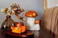 Home interior with cozy burning candle, dry flower decor and ceramic mushroom on table