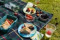Summer picnic spread on blanket with jam sandwiches, fruit and wine