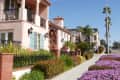 neighborhood street with palm trees and purple flowers, brick and metal fence lining sidewalk