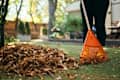 Using a plastic fan rake to clean the lawn from fallen leaves.