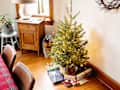 Christmas tree in living room