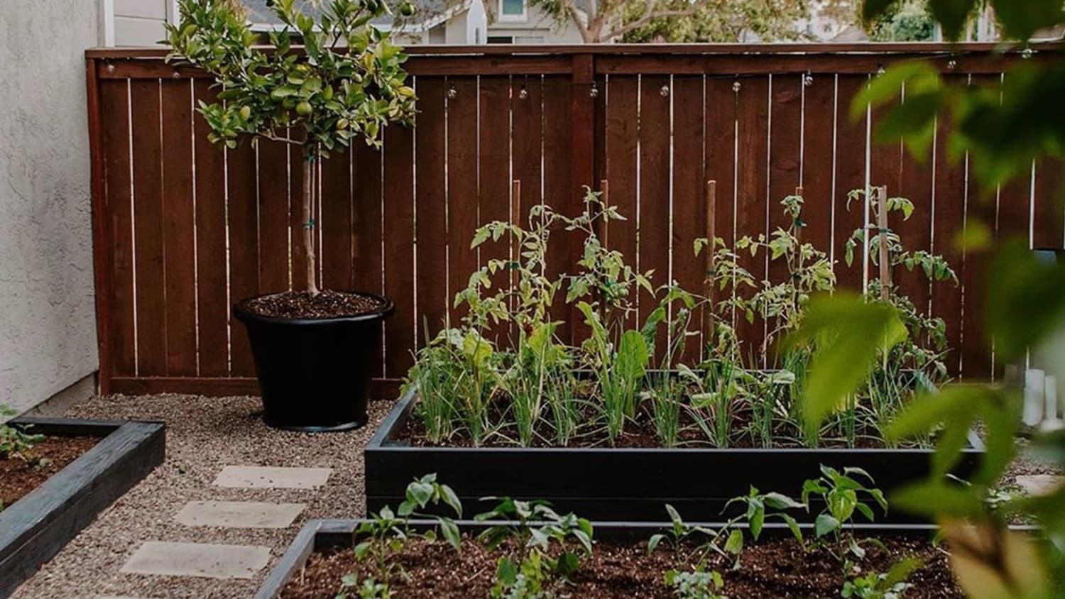10 Patio Garden Ideas How To Grow Plants On A Small Porch