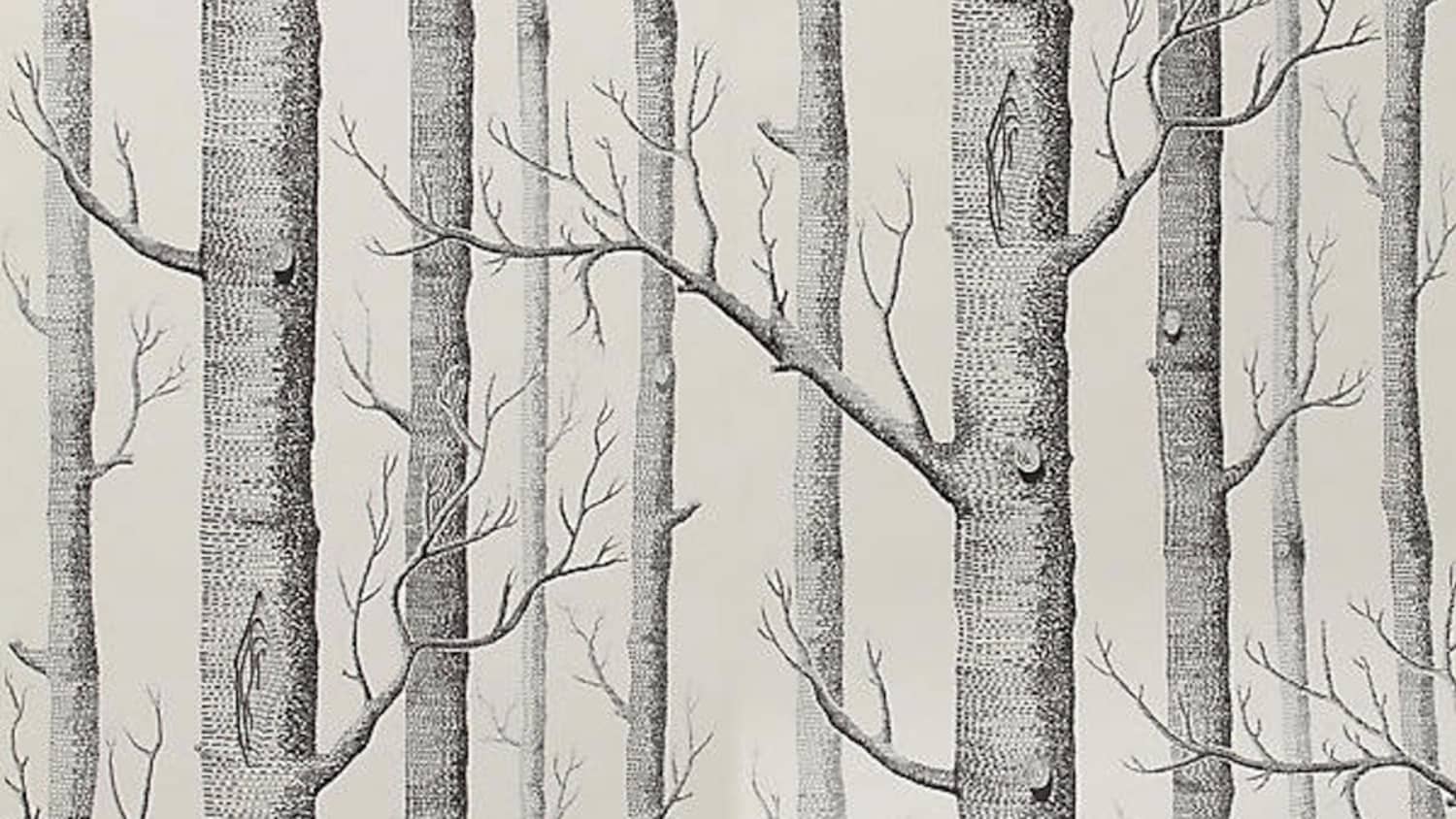 10 Excellent Sources For Buying Birch Tree Wallpaper Apartment Therapy Download birch trees stock photos. buying birch tree wallpaper