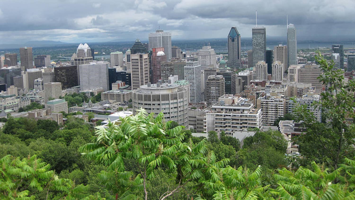 A Renter S Life In Montreal The Inside Scoop Apartment Therapy