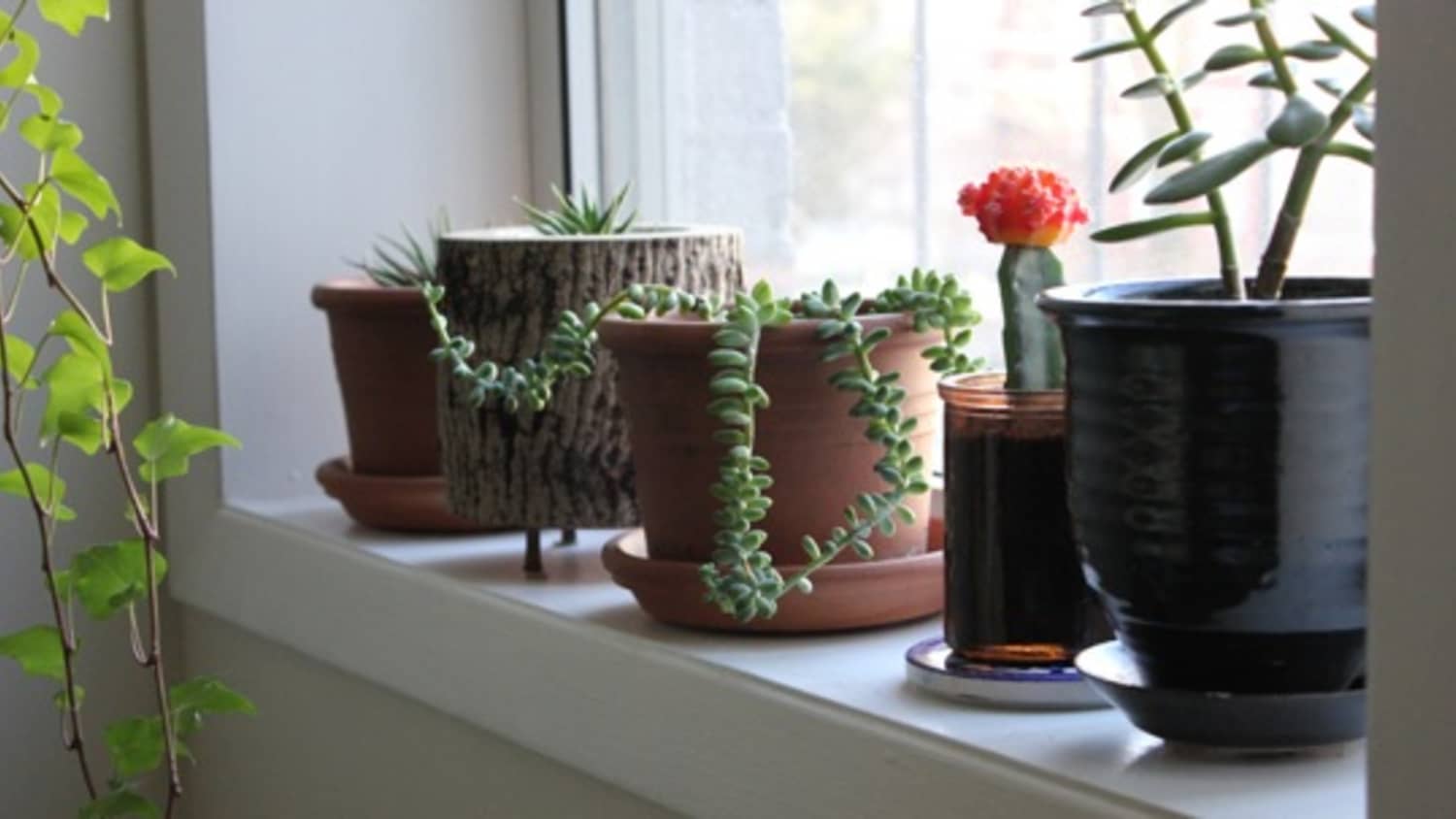 How To Paint Windowsills Window Trim Apartment Therapy