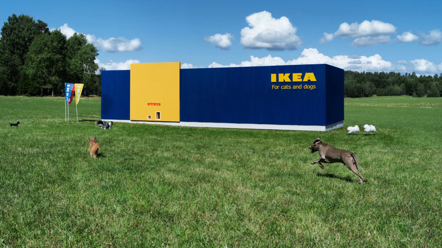 Ikea S New Pet Line Lurvig Apartment Therapy