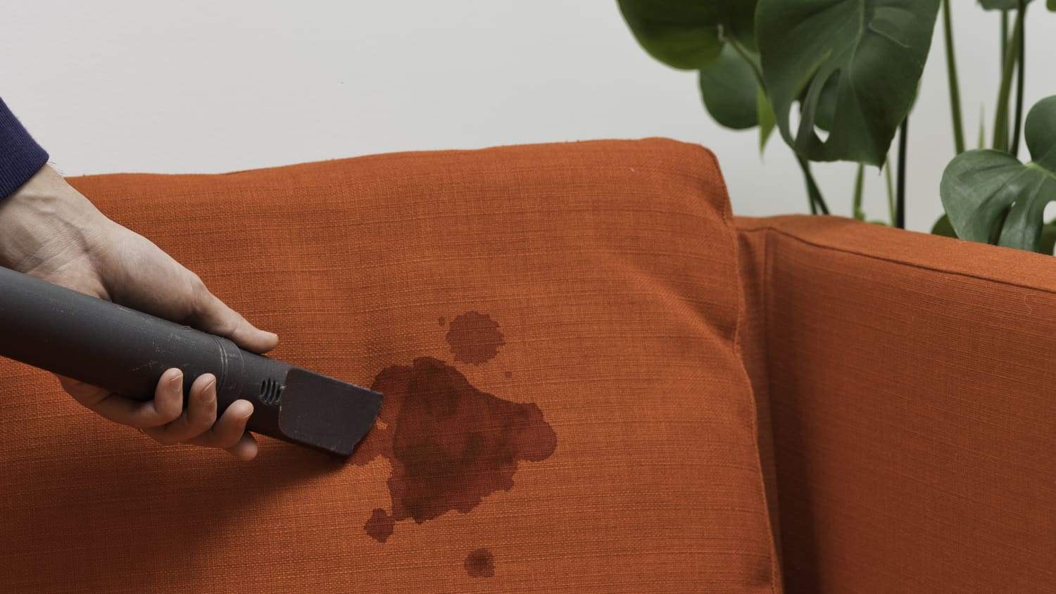 The Ultimate Guide to Removing Blood Stains from Your Sofa