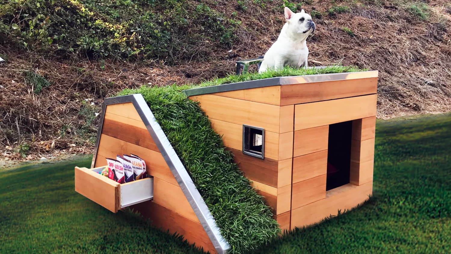 apartment dog house
