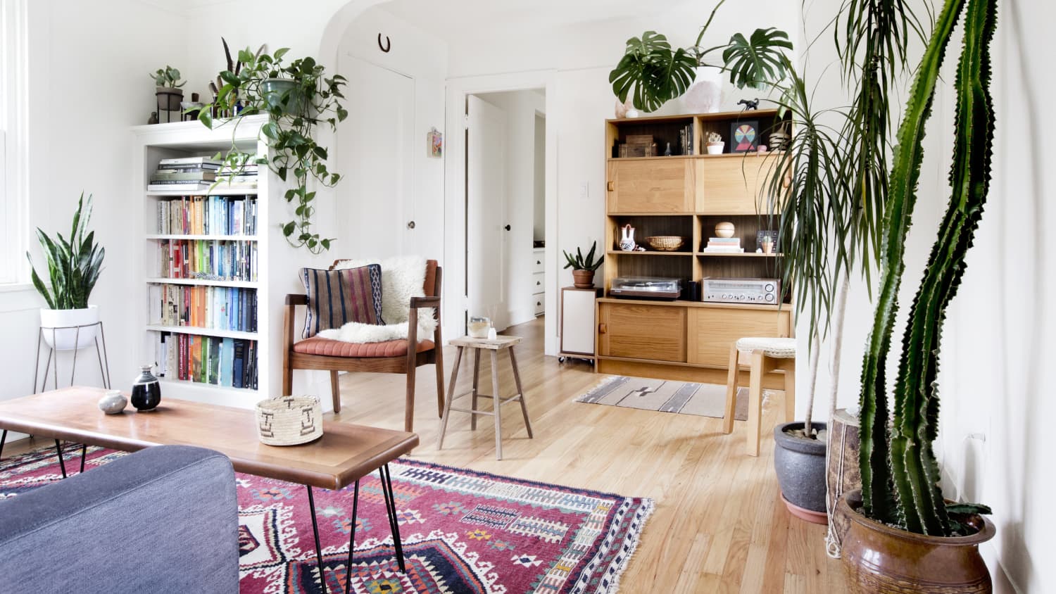 Spider Mites How To Save Plants From The Little Buggers Apartment Therapy