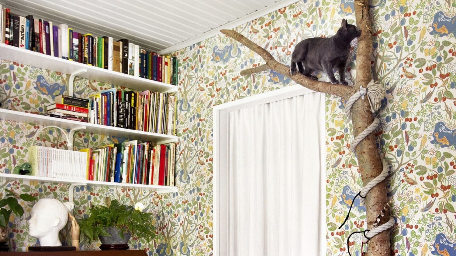 5 Diy Project The Most Extreme Cat Lovers Should Try Apartment Therapy