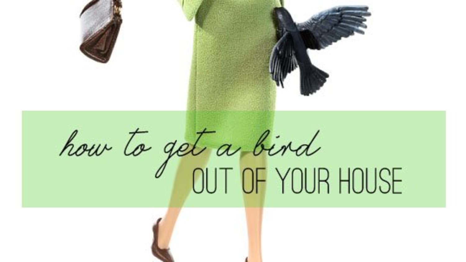 How To Get A Bird Out Of Your House | Apartment Therapy