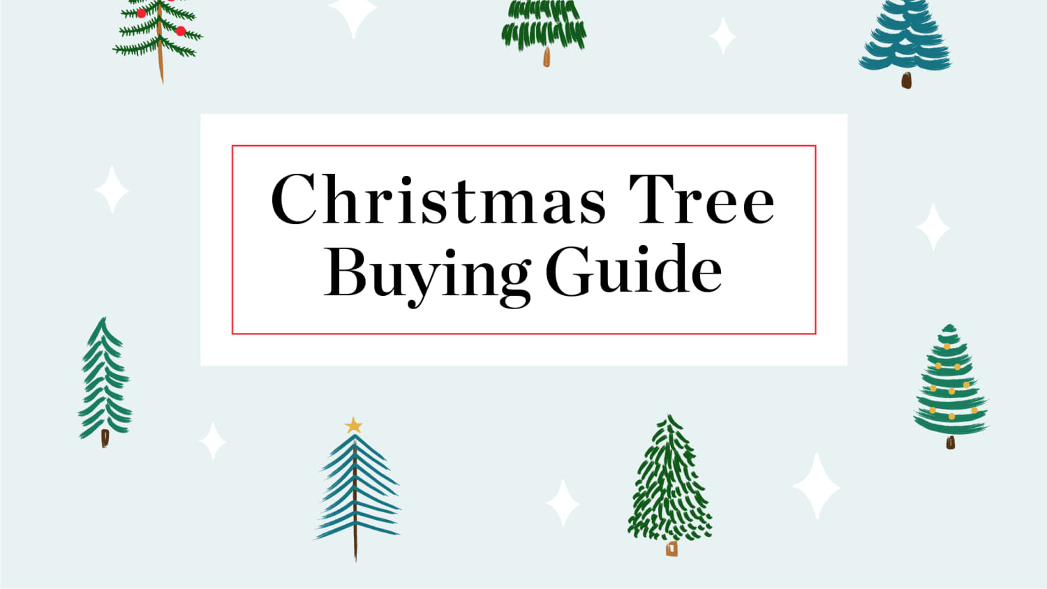 Buying A Christmas Tree Guide Christmas Tree Types Apartment Therapy
