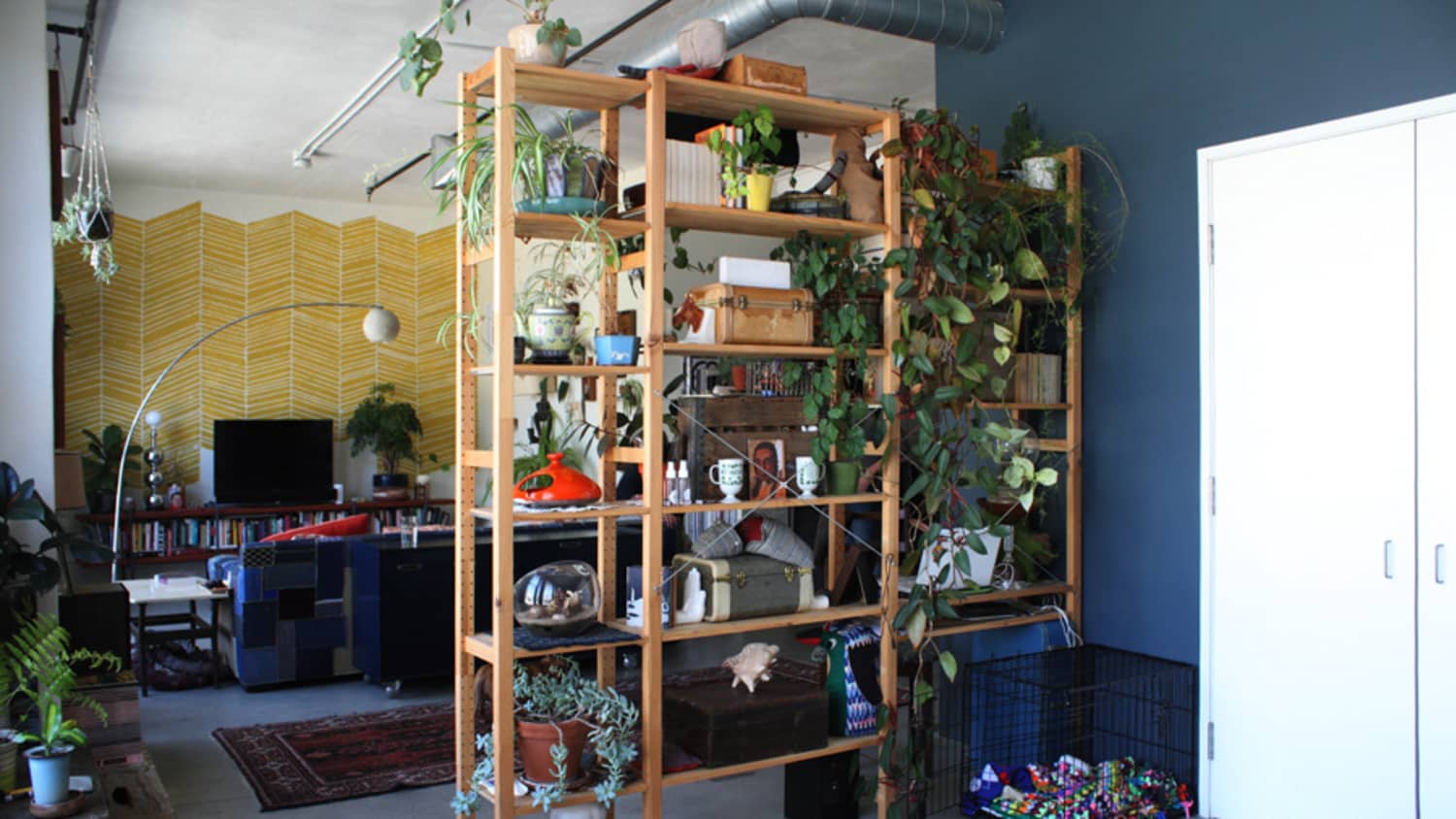 8 Best Room Divider Ideas How To Divide A Room Into 2 Apartment Therapy,Exposed Concrete Basement Walls