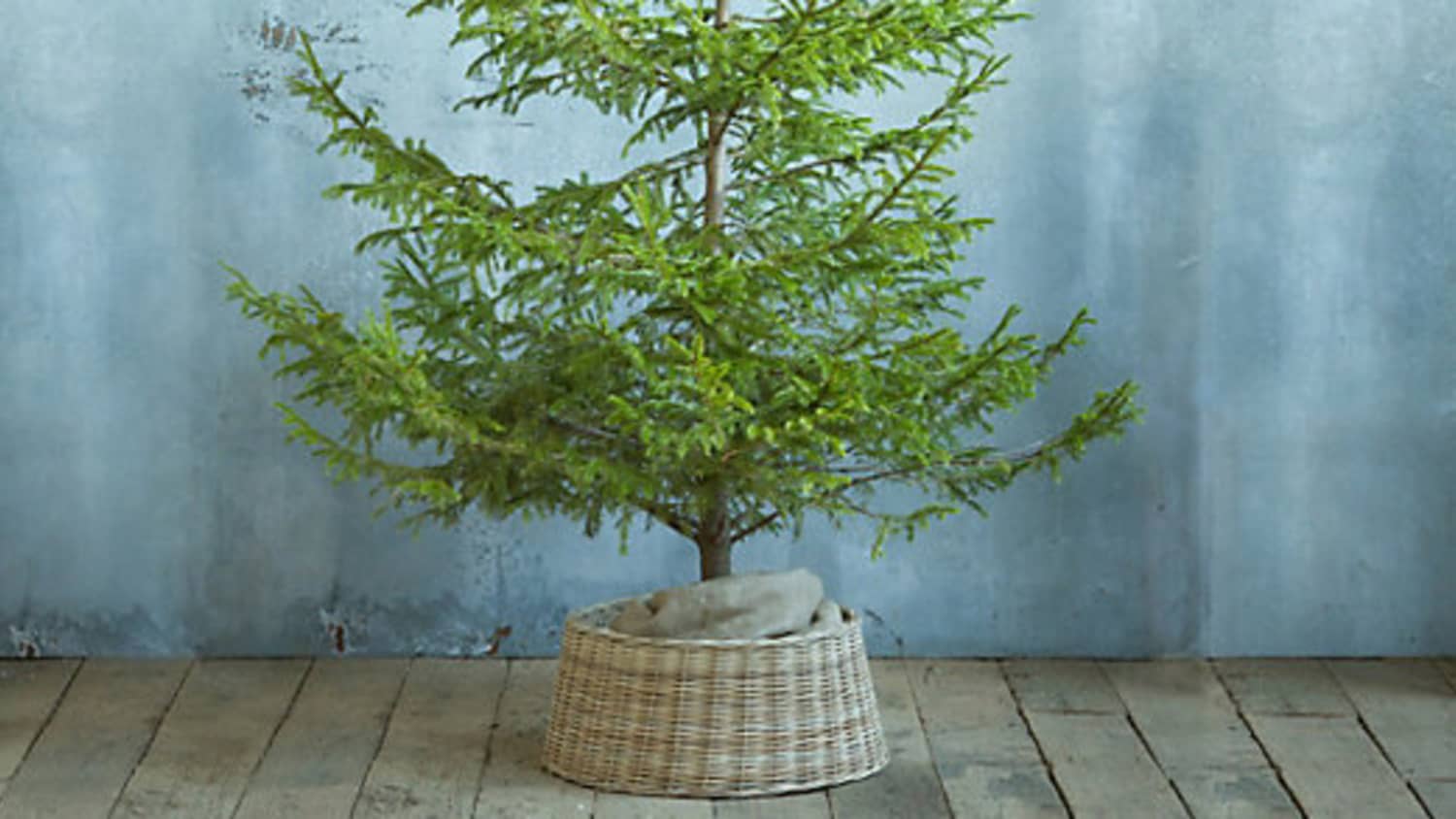 Easy Decorating Ideas 5 Alternatives To Christmas Tree Skirts Apartment Therapy