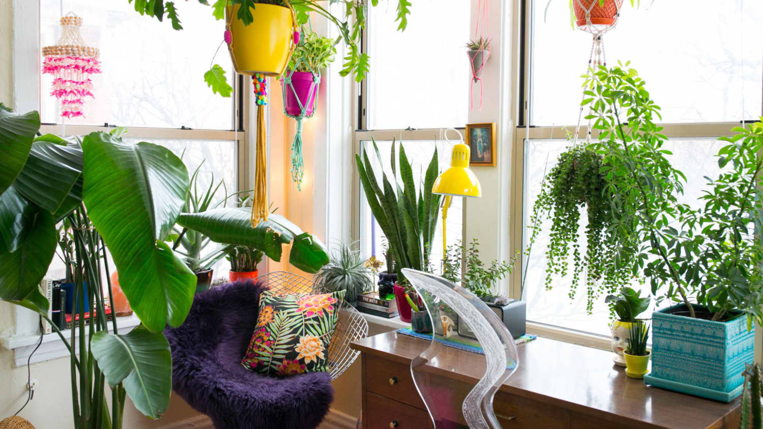 Hanging Plants From Tension Rod Renters Solution Apartment Therapy