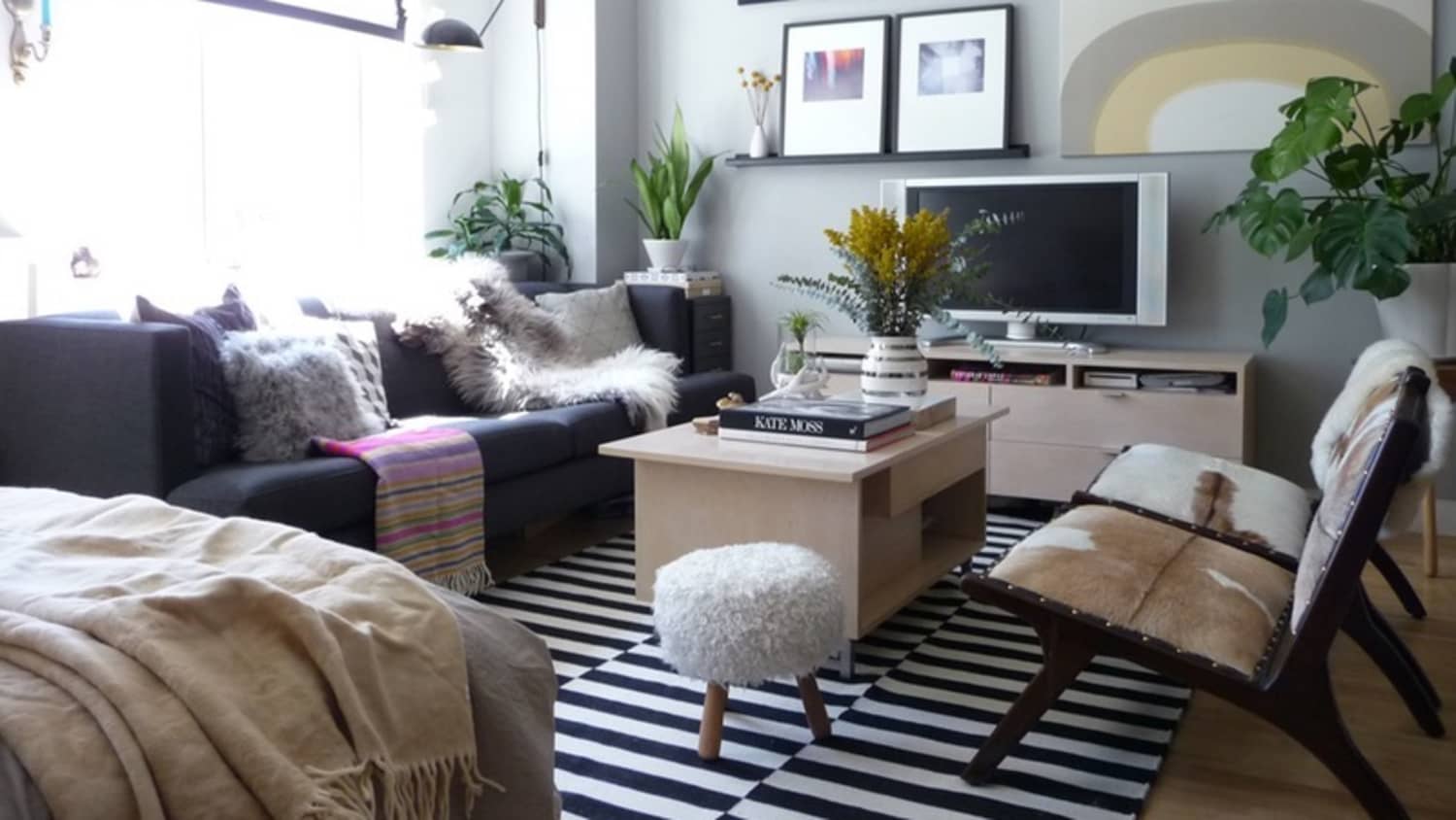 20 Genius Ideas For How to Layout Furniture in a Studio Apartment ...
