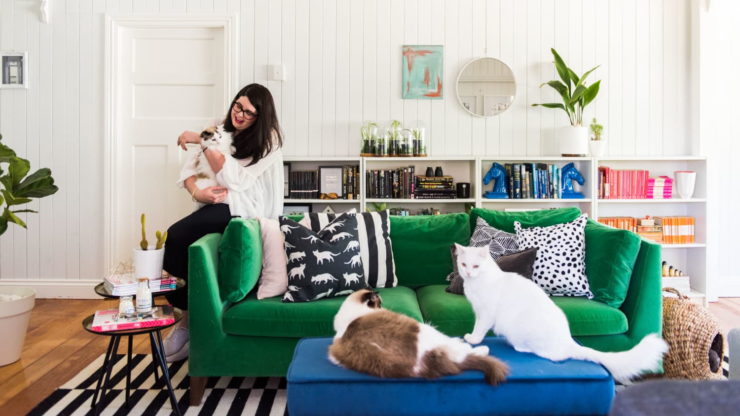 How To Remove Pet Hair From Furniture Floors More Apartment
