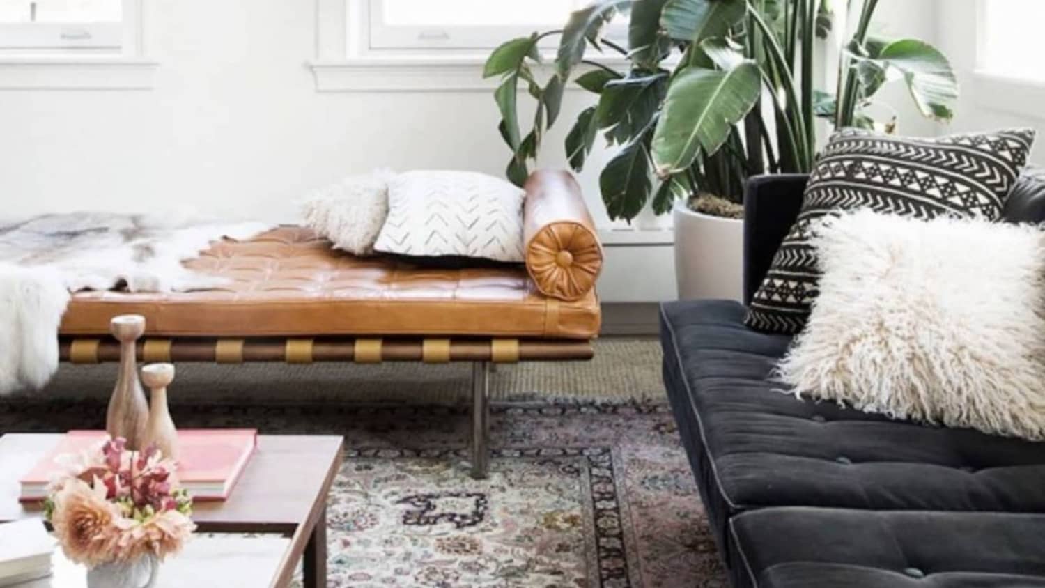 12 Best Indoor Trees Large Floor Plants For A Bold Statement