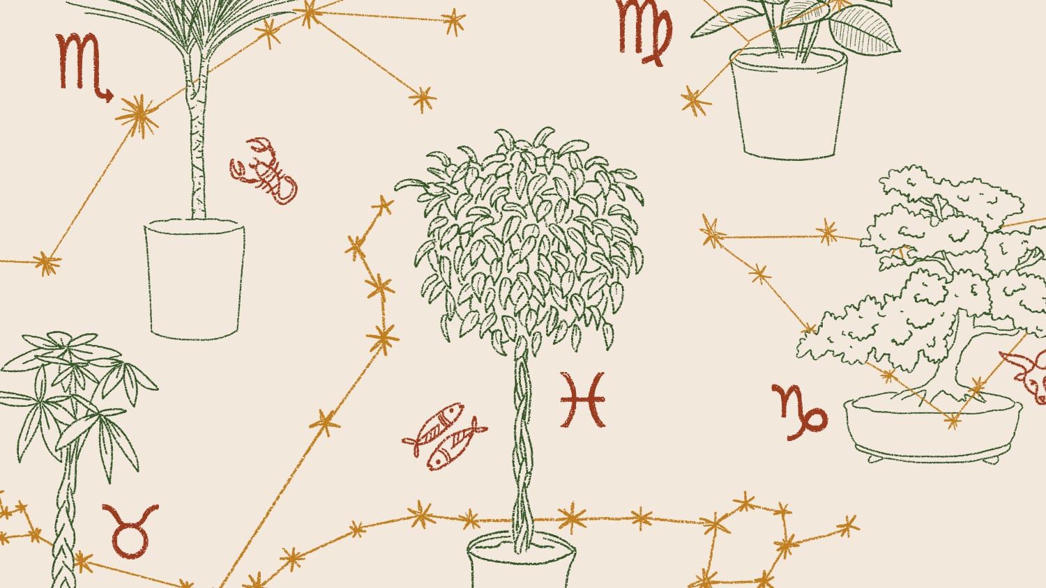 How to Feng Shui with Houseplants Based on Your Astrological ...