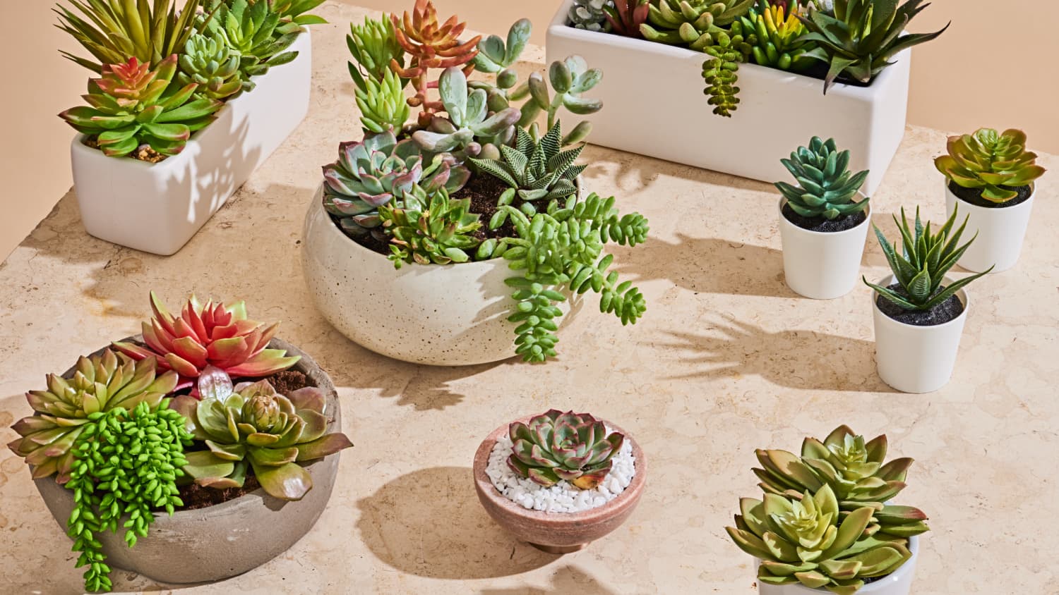 The Best Fake Succulents IKEA, Target & 3 Others