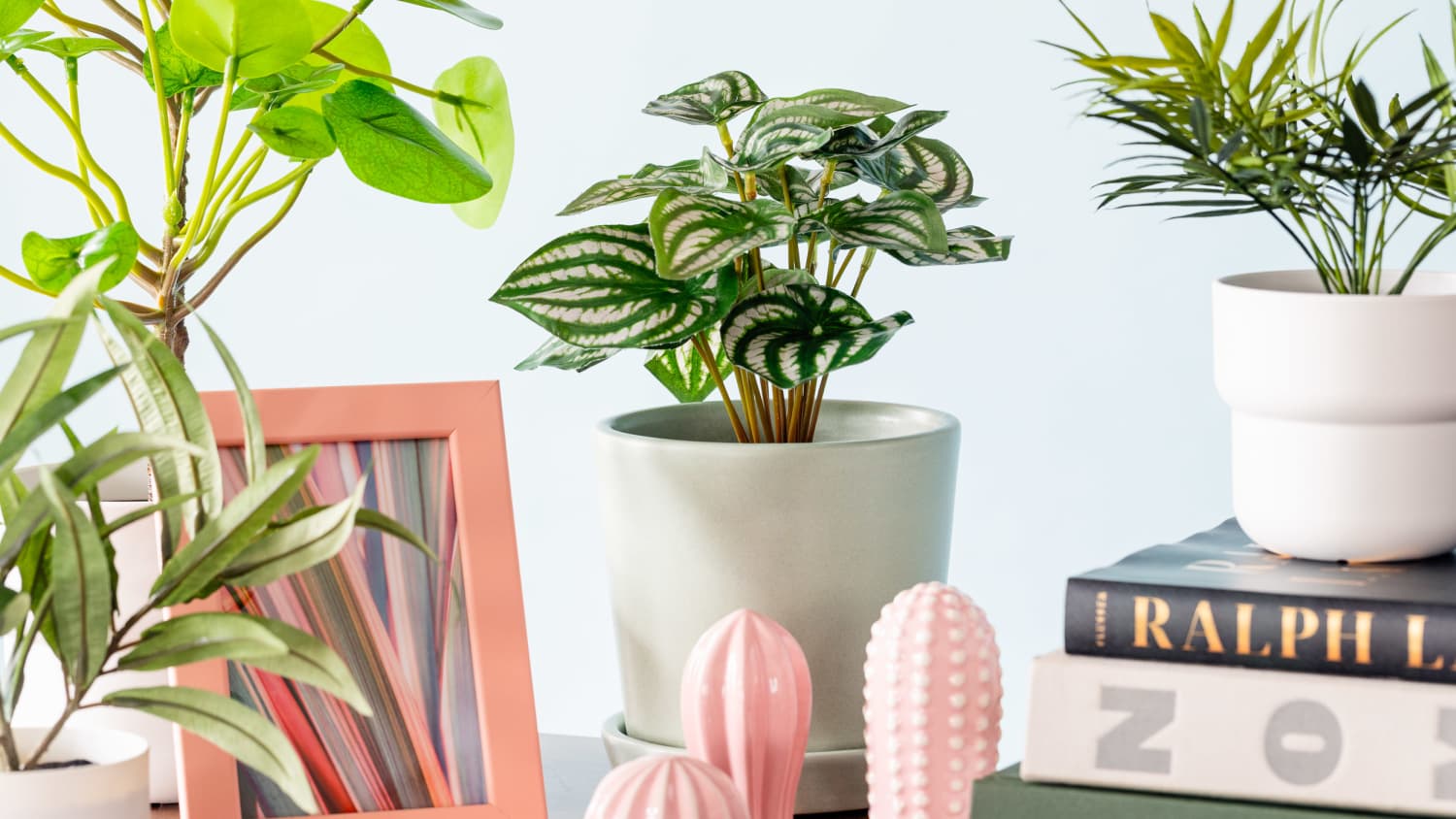 How to Lean into Fake Plants, According to Plant Experts ...