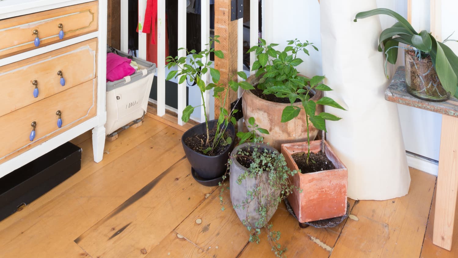 How To Store Your Winter Clothes So You Don T Have To Wash Or Re