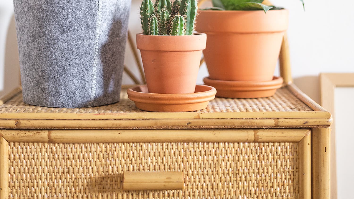 How To Care For Plants In Pots Without Drainage Holes Apartment Therapy