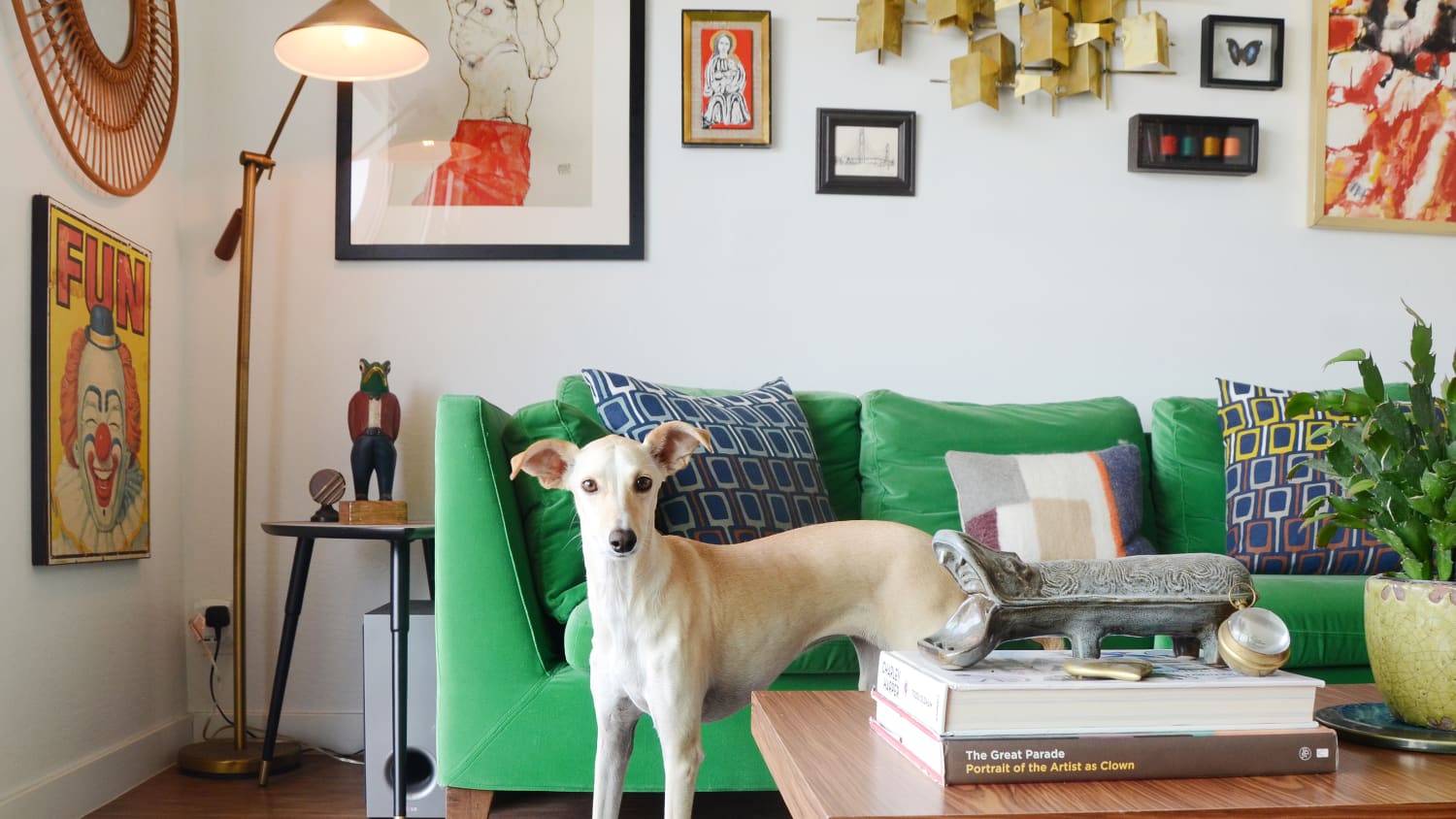 Best Sofa Fabrics For Pet Owners Apartment Therapy