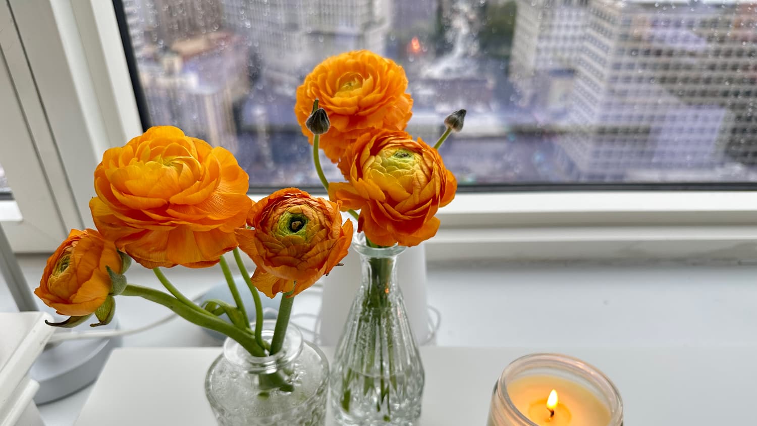 The $25 Amazon Bud Vases That Fill My Home With Fresh Flowers