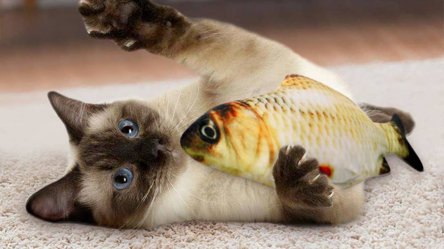 Battery-Powered Fish Toy For Cats | Apartment Therapy