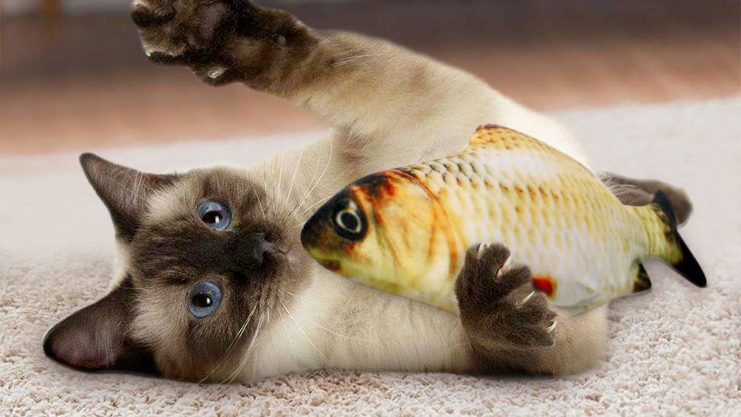 cat with fish