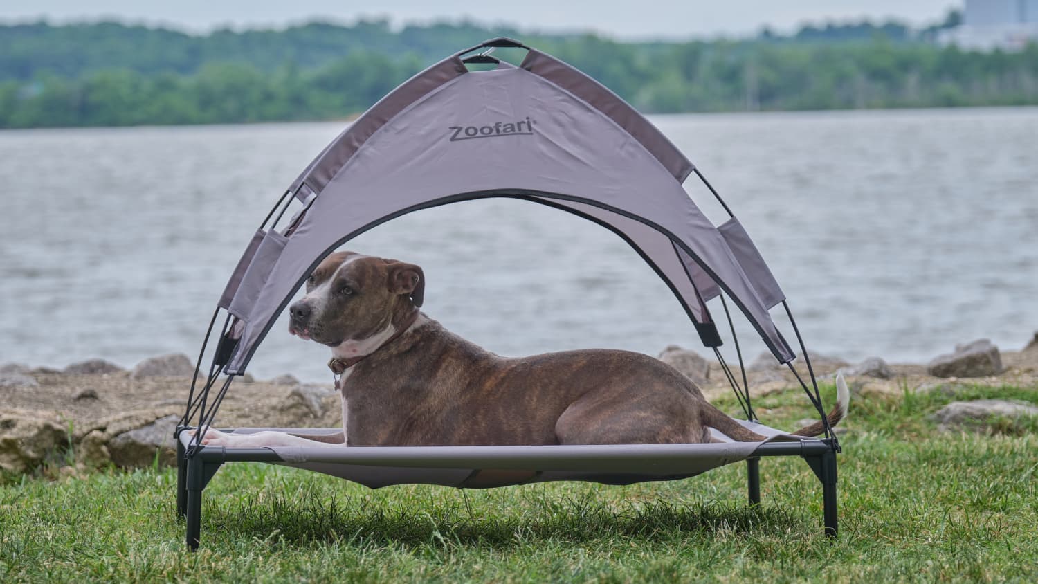 This canopy dog bed is super cute too!