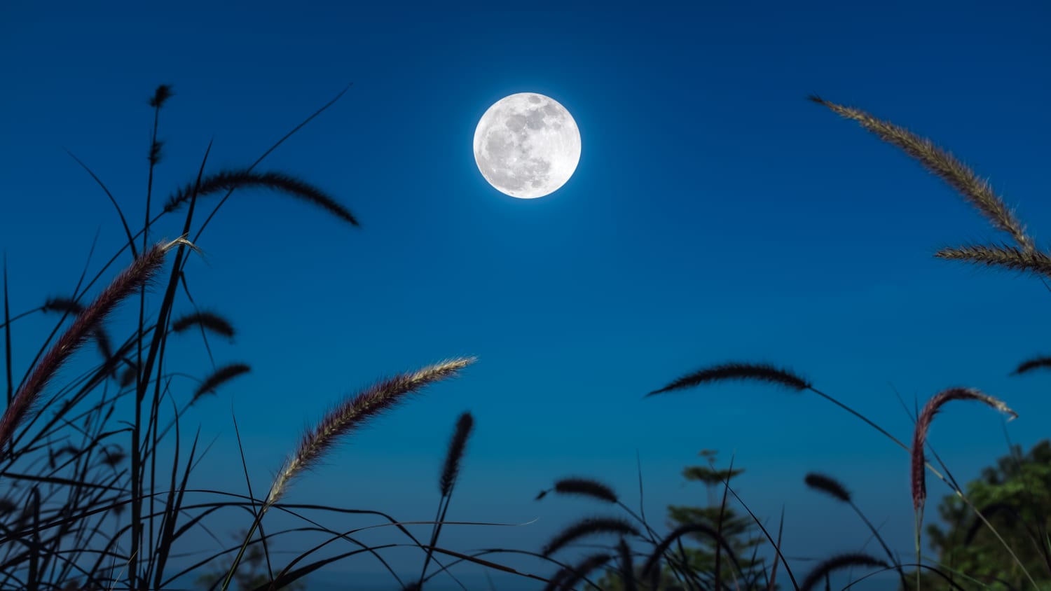 Fourth Of July Buck Moon Lunar Eclipse Apartment Therapy