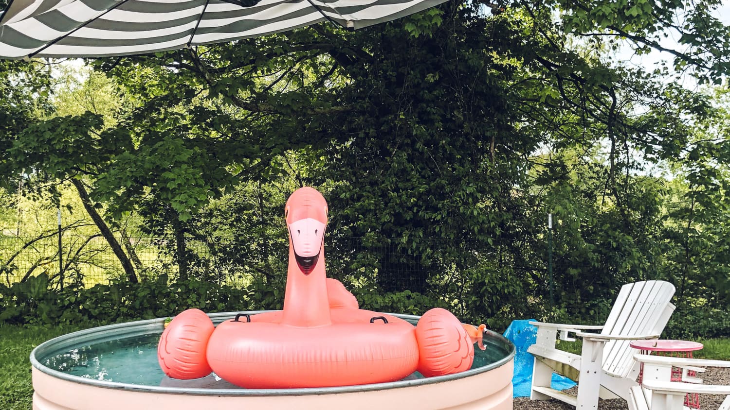 Meet Flamingo Instagram