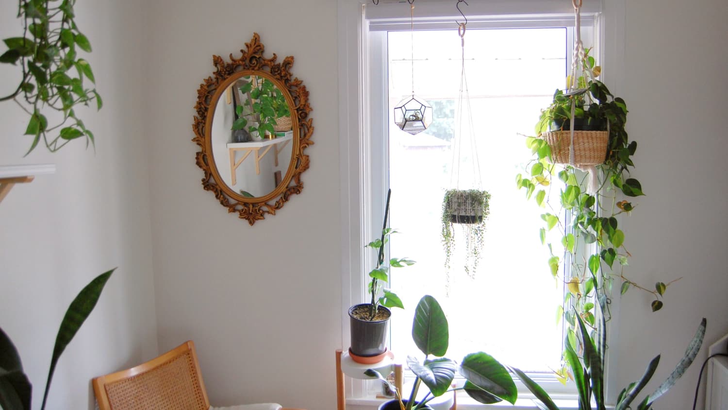 How to Hang Plants in Your Rental Apartment and Get Your Security Deposit  Back | Apartment Therapy, image size:1500x844
