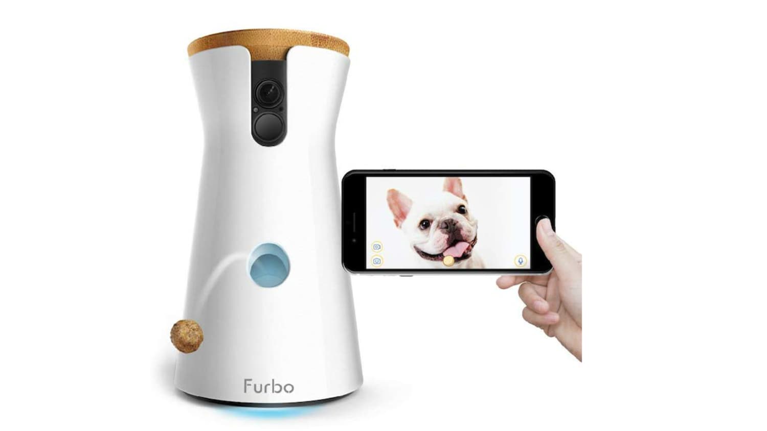 Furbo dog camera amazon clearance