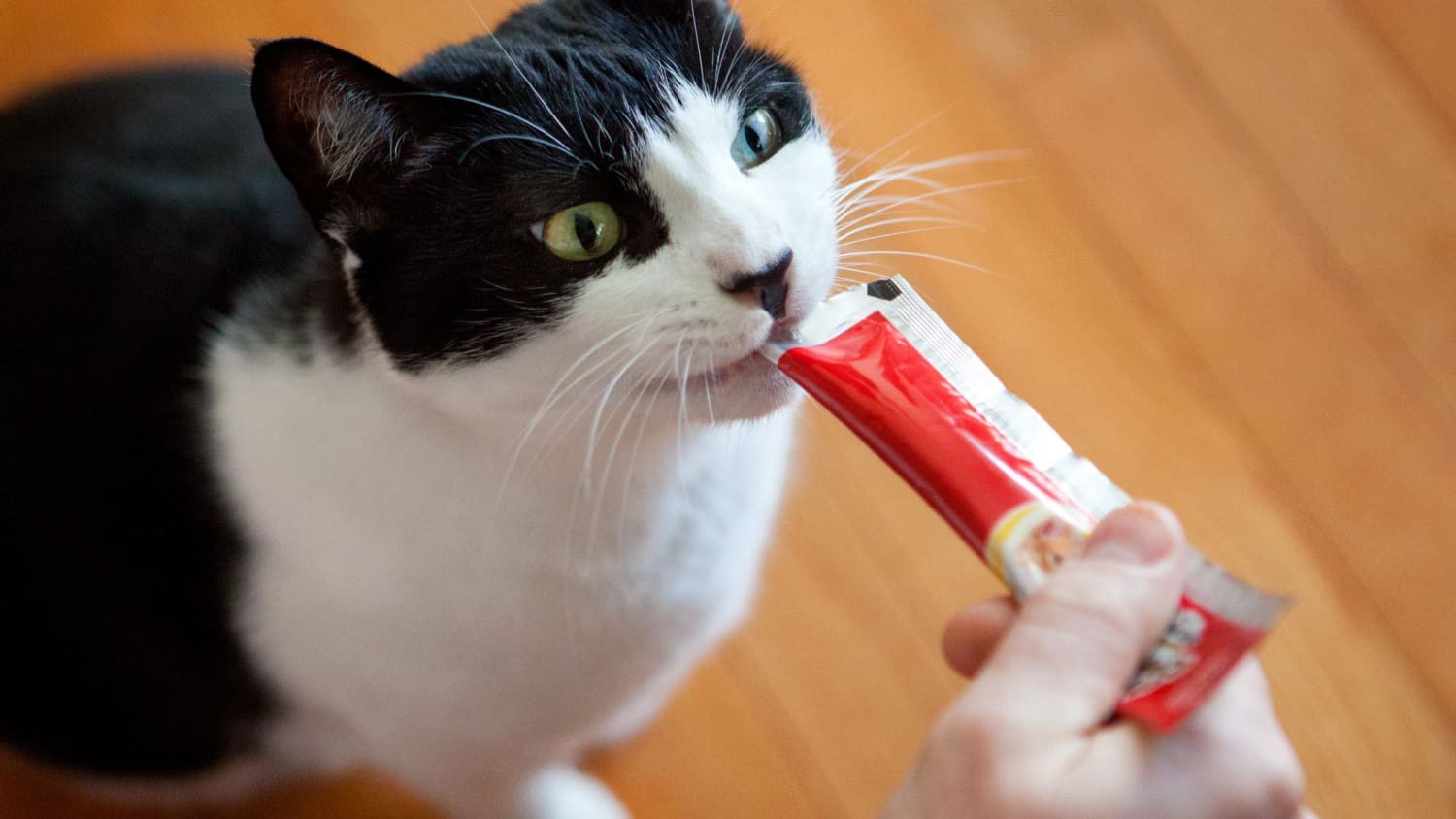 Hartz Cat Treats GoGurt Style Squeeze Up Tubes Video The Kitchn