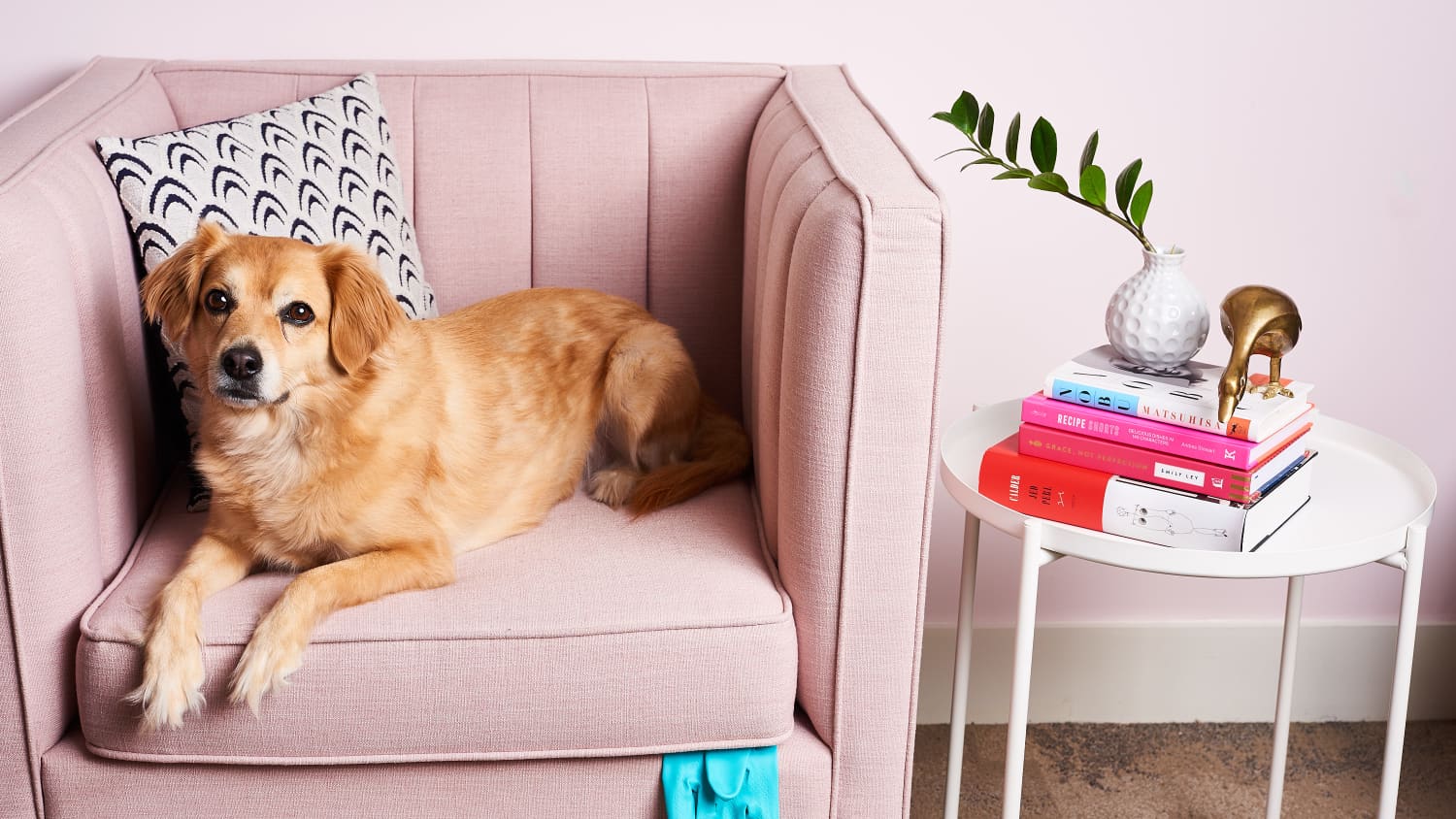 How to Remove Pet Hair With a Rubber Glove Apartment Therapy