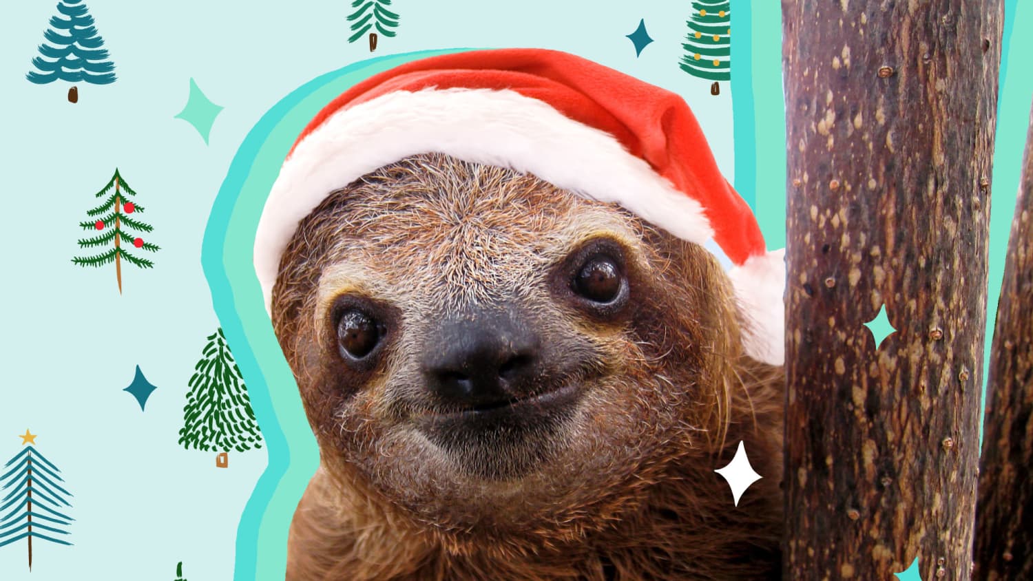 Sloth sweater christmas discount